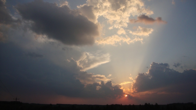 DSC01559_conew1.jpg