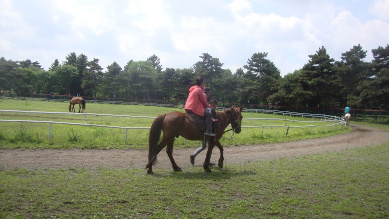 DSC00783_conew1.jpg