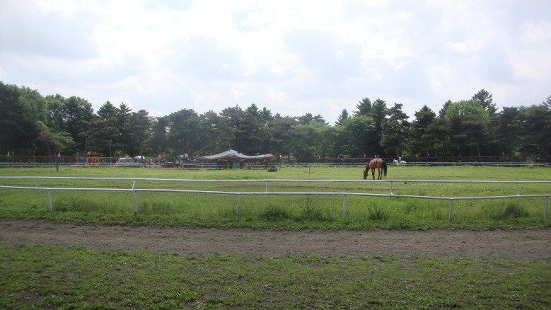DSC00785_conew1.jpg