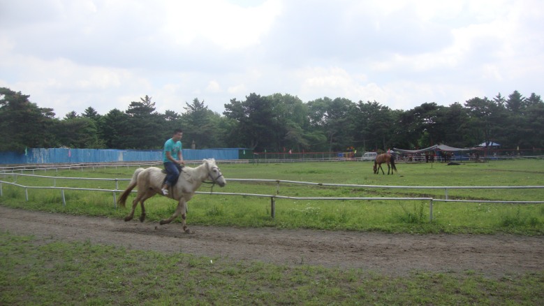 DSC00787_conew1.jpg