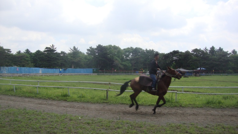 DSC00788_conew1.jpg