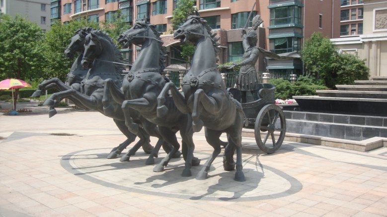 DSC00796_conew1.jpg