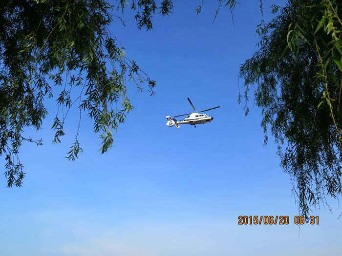 IMG_2772_.jpg