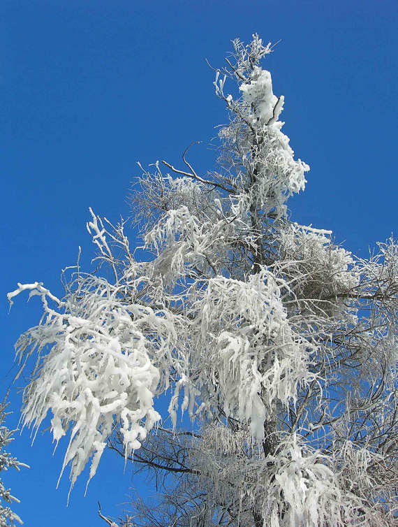 DSCN2737-3.jpg