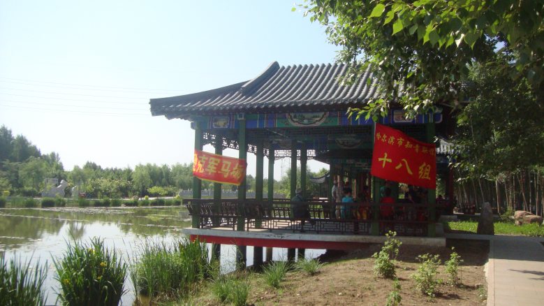 DSC01346_conew1.jpg