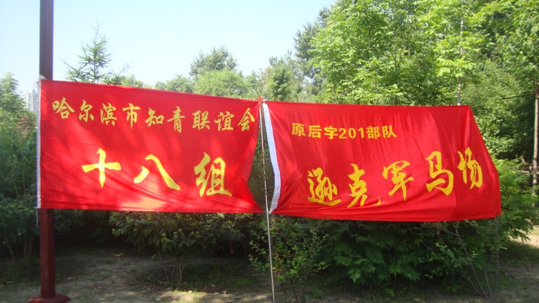 DSC01369_conew1.jpg