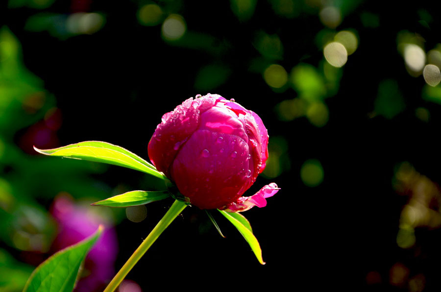 DSC_4925_С.JPG