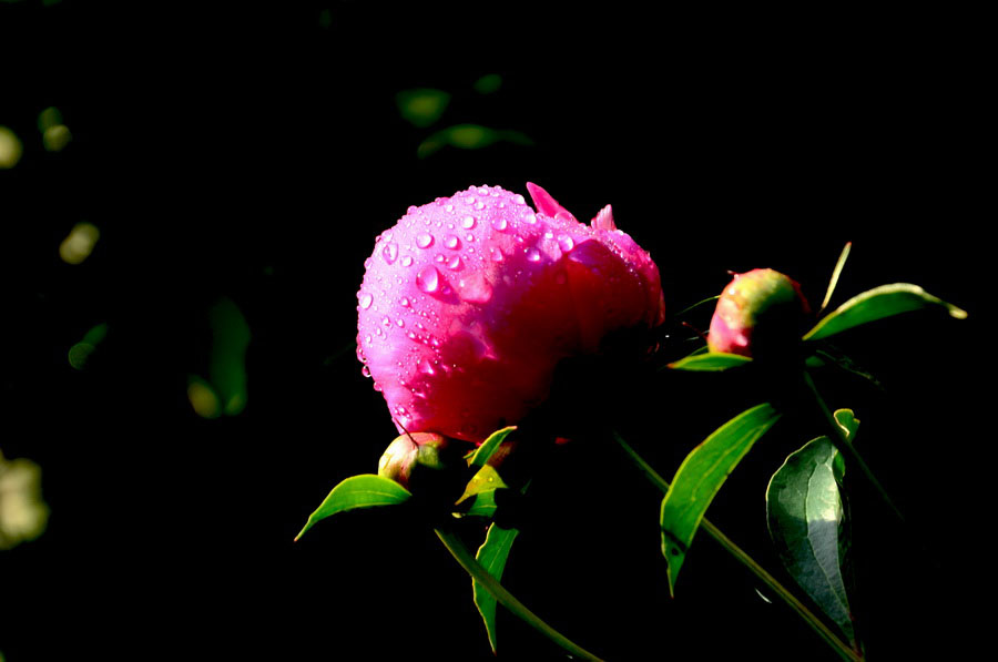 DSC_4929_С.JPG