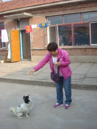 psb (12).jpg