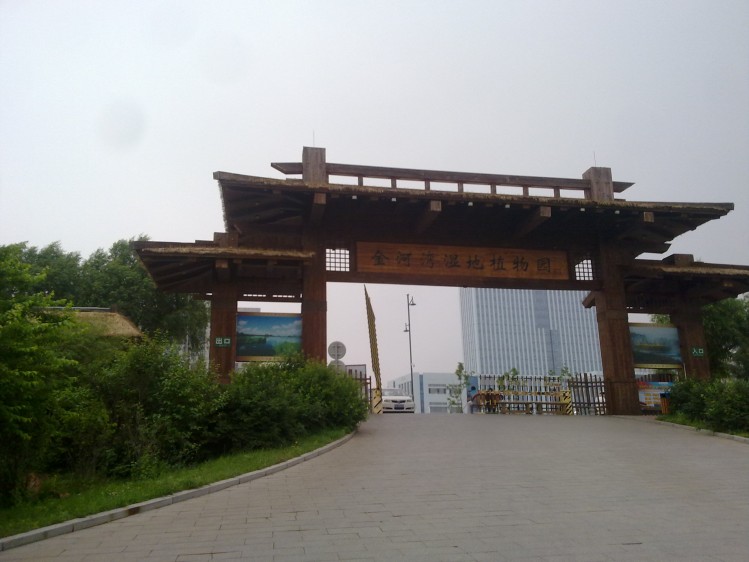 20090101649_conew1.jpg