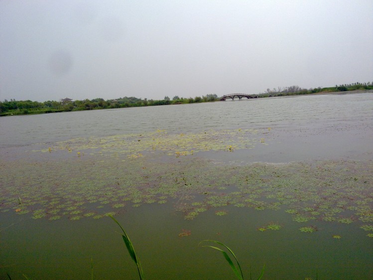 20090101655_conew1.jpg