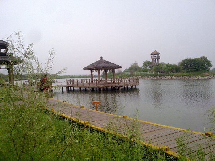 20090101656_conew1.jpg