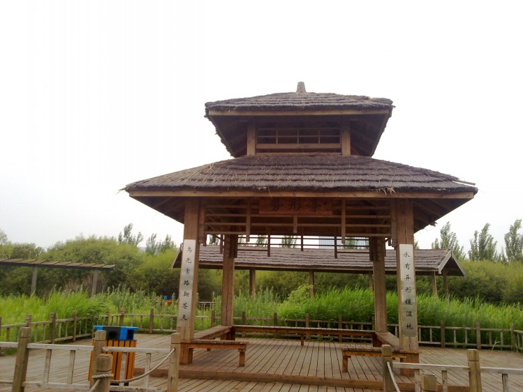 20090101658_conew1.jpg