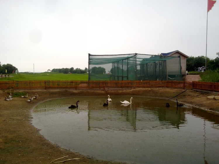 20090101667_conew1.jpg