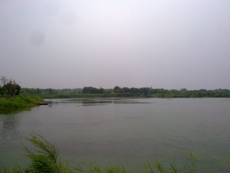 20090101653_conew1.jpg