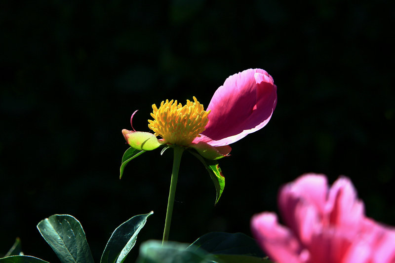 3Y4B4243_.jpg