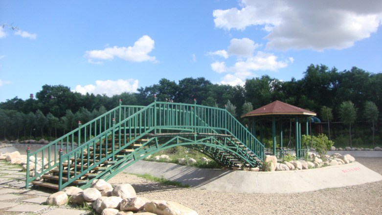 DSC02322_conew1.jpg