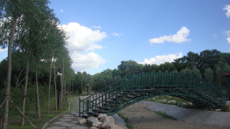 DSC02324_conew1.jpg