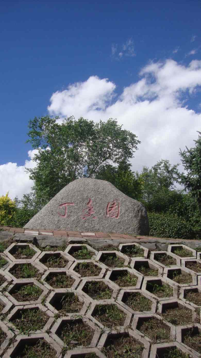 DSC02297_conew1.jpg