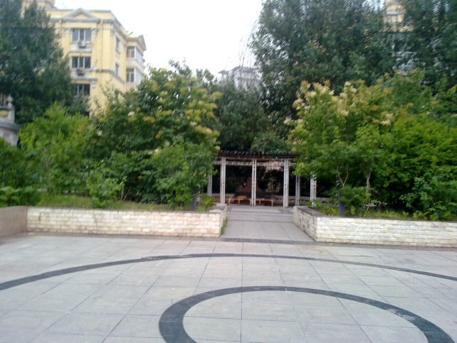 20150602681_conew1.jpg