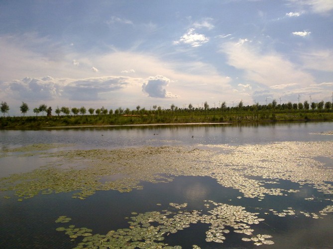 20150630739_conew2.jpg