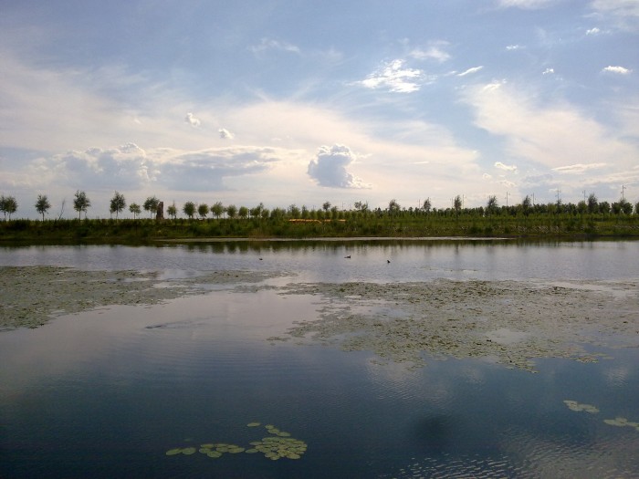 20150630738_conew1.jpg
