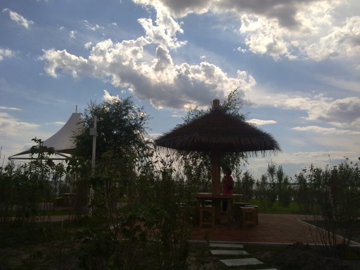 20150630734_conew1.jpg
