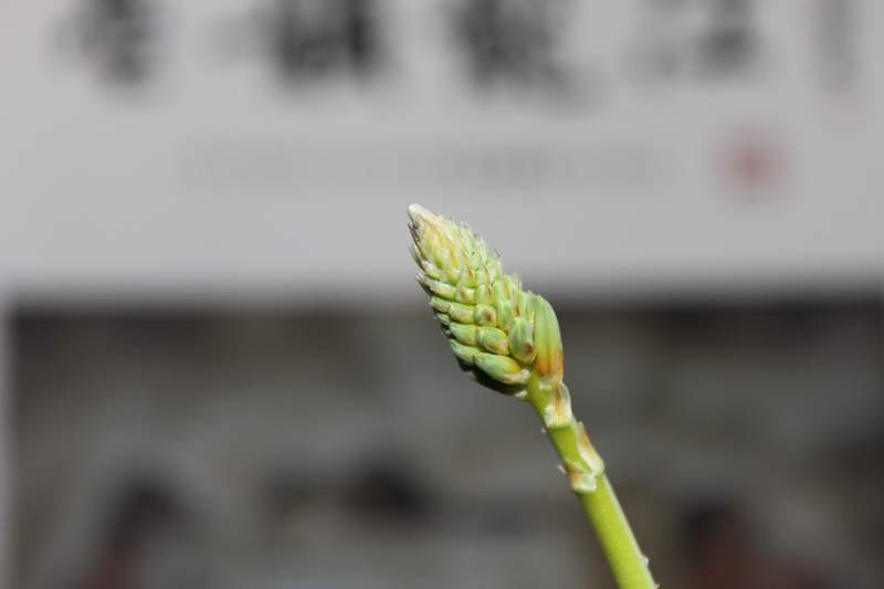 140324kqkksa11pr7ykkyb.jpg