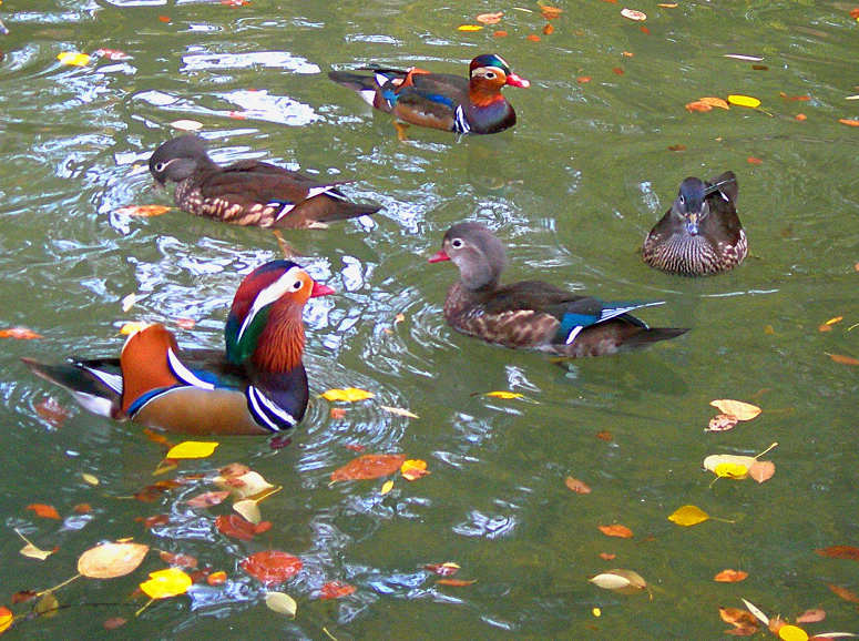 DSCN1748-3.jpg