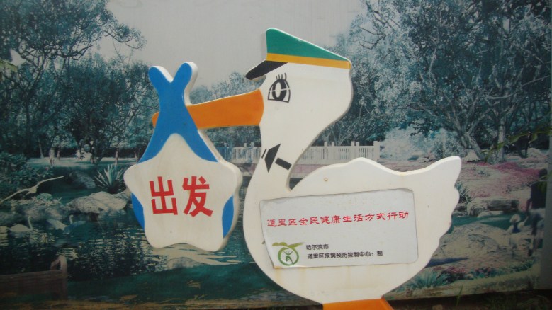 DSC03173_conew1.jpg