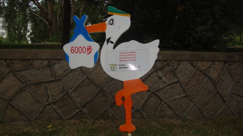 DSC03093_conew1.jpg