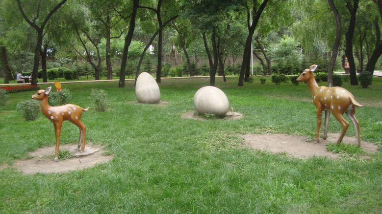 DSC03113_conew1.jpg