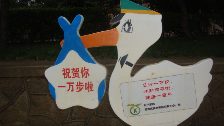 DSC03171_conew1.jpg