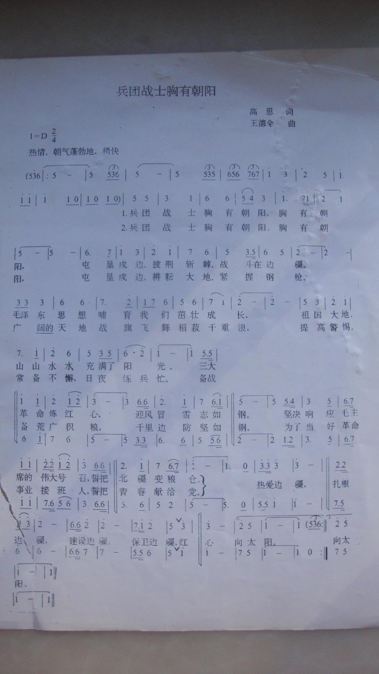 DSC03180_conew1.jpg