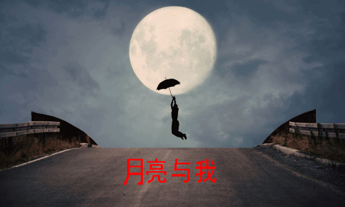 ceOuj775aVeew_conew1.gif