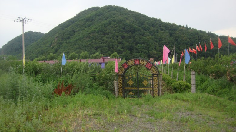 DSC04487_conew1.jpg