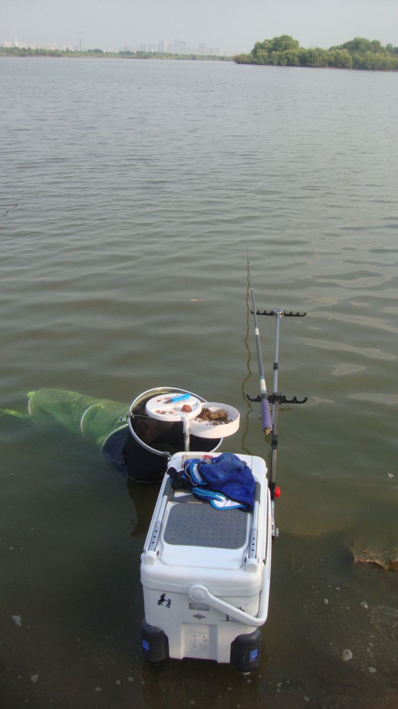 DSC04060_conew1.jpg