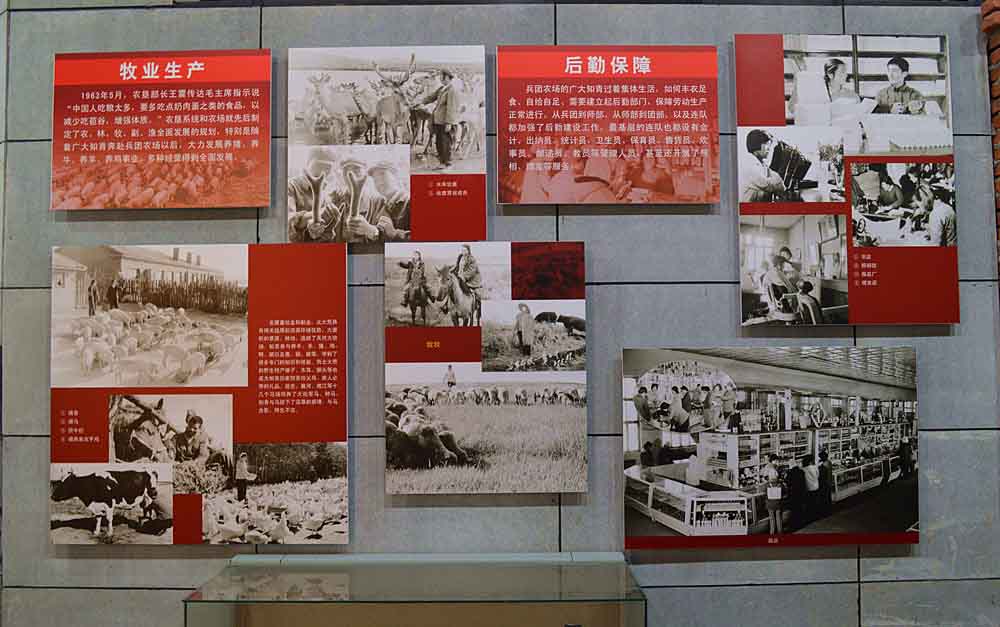 δ-17.jpg