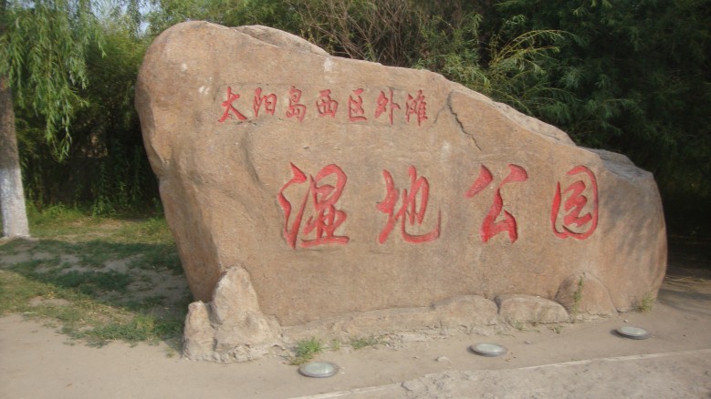 DSC04035_conew1.jpg