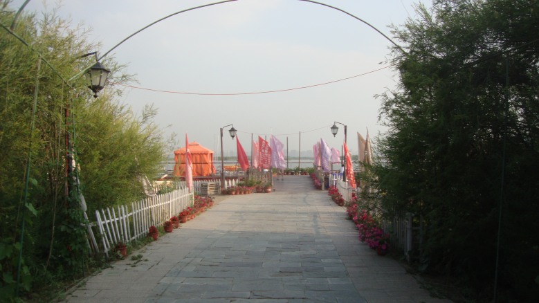 DSC04084_conew1.jpg