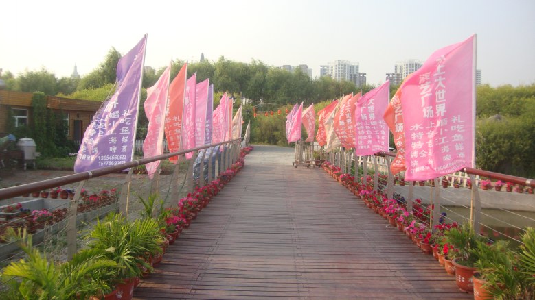 DSC04097_conew1.jpg