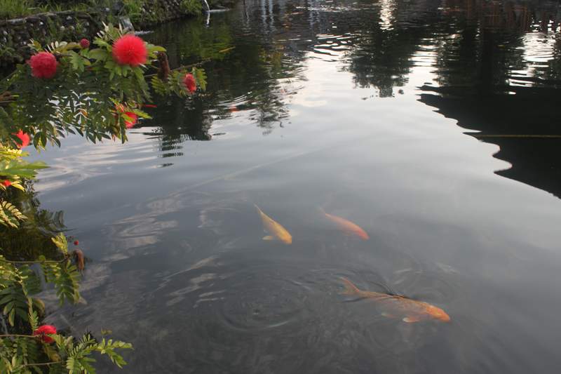 Ƭ 024.jpg
