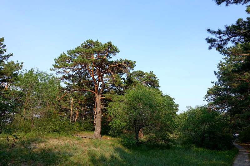DSC04671.JPG
