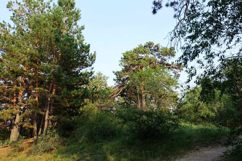 DSC04689.JPG