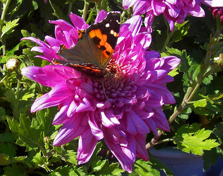 DSCN9842-3.jpg