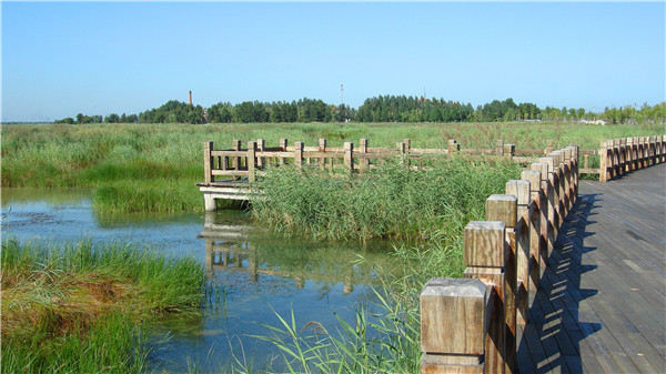 DSC07782_.jpg
