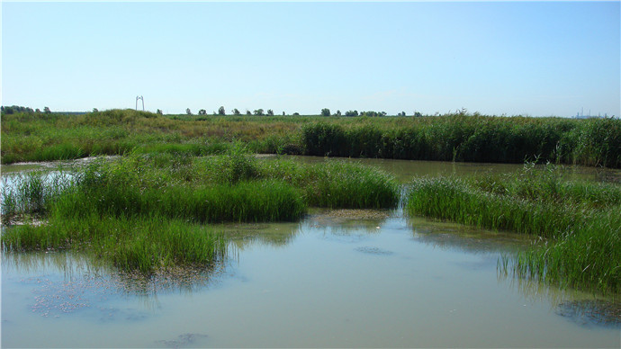 DSC07780__1.jpg