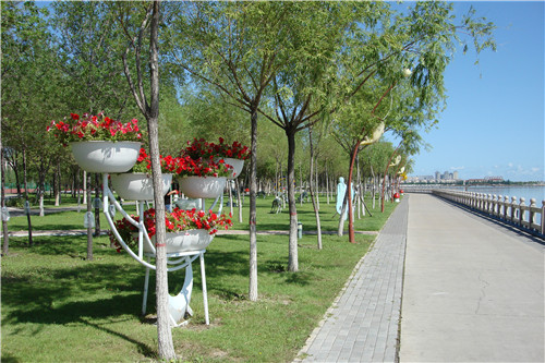 DSC07794__.jpg