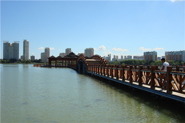 DSC07807_.jpg