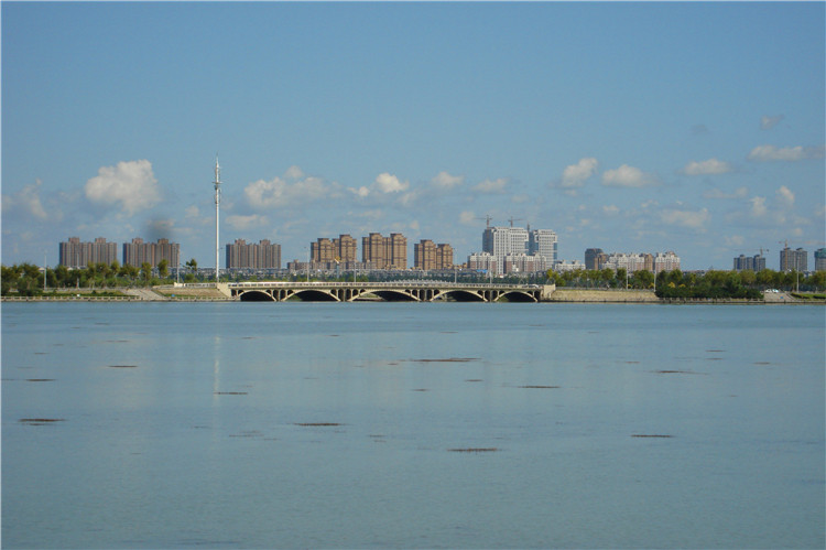 DSC07809__.jpg